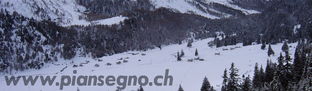 www.piansegno.ch